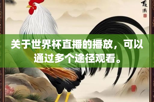 关于世界杯直播的播放，可以通过多个途径观看。