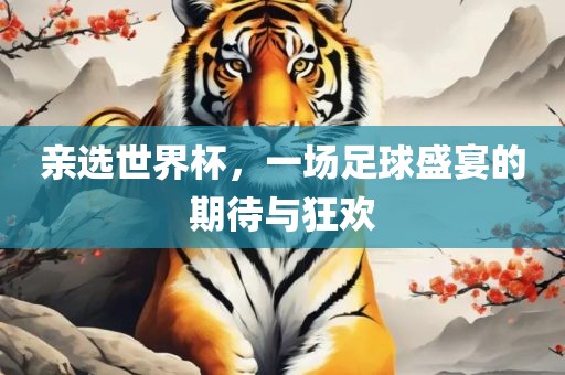 亲选世界杯，一场足球盛宴的期待与狂欢