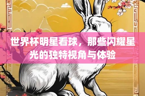 世界杯明星看球，那些闪耀星光的独特视角与体验漯河市盈旭机械设备有限公司