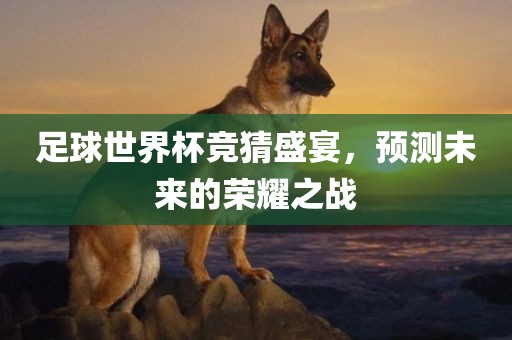 足球世界杯竞猜盛宴，预测未来的荣耀之战漯河市盈旭机械设备有限公司