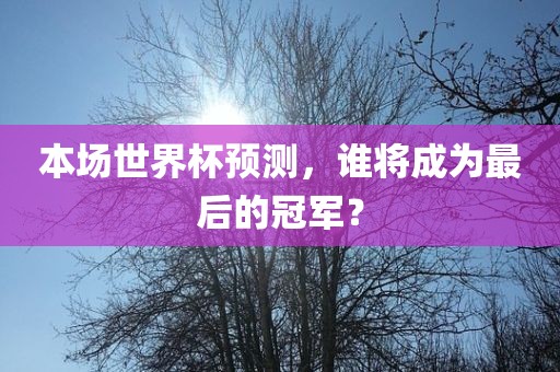 本场世界杯预测，谁将成为最后的冠军？