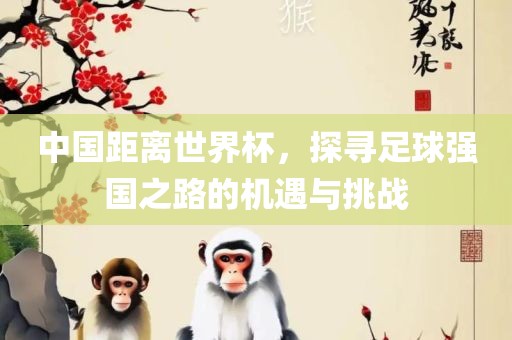 中国距离世界杯，探寻足球强国之路的机遇与挑战