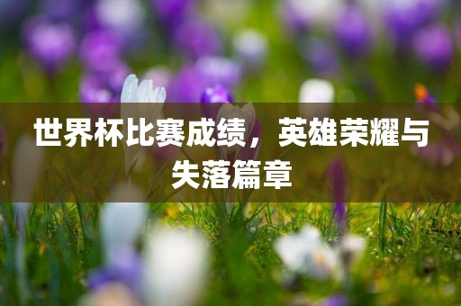 世界杯比赛成绩，英雄荣耀与失落篇章