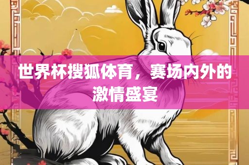 世界杯搜狐体育，赛场内外的激情盛宴