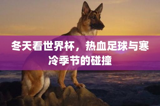 冬天看世界杯，热血足球与寒冷季节的碰撞漯河市盈旭机械设备有限公司