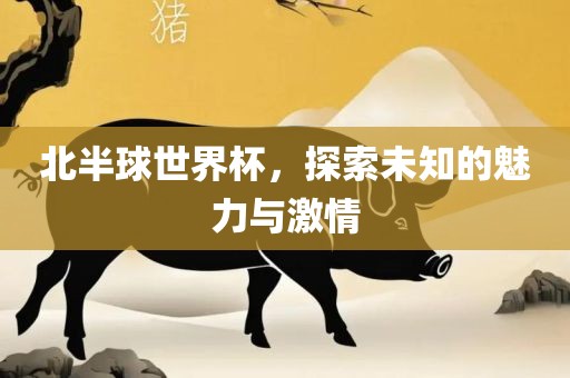 北半球世界杯，探索未知的魅力与激情漯河市盈旭机械设备有限公司