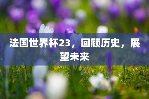 法国世界杯23，回顾历史，展望未来