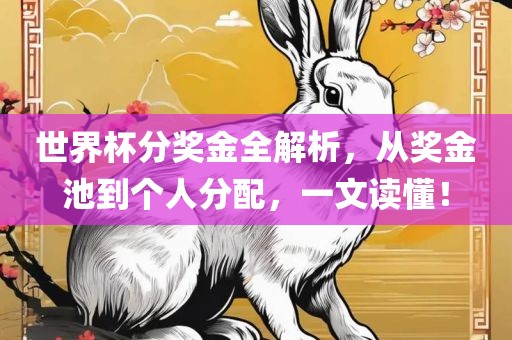 世界杯分奖金全解析，从奖金池到个人分配，一文读懂！
