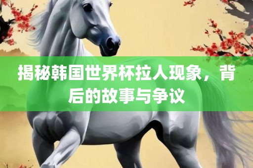 揭秘韩国世界漯河市盈旭机械设备有限公司杯拉人现象，背后的故事与争议