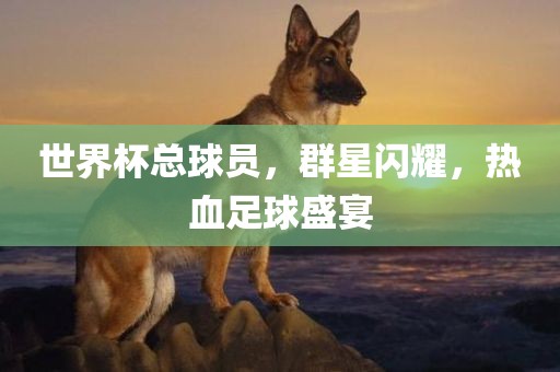 世界杯总球员，群漯河市盈旭机械设备有限公司星闪耀，热血足球盛宴