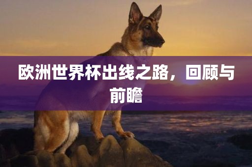 欧洲世界杯出线之路，回顾与前瞻