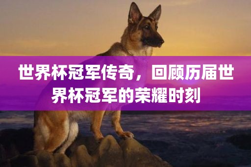 世界杯冠军传奇，回顾历届世界杯冠军的荣耀时刻漯河市盈旭机械设备有限公司