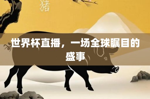 世界杯直播，一场全球瞩目的盛事漯河市盈旭机械设备有限公司