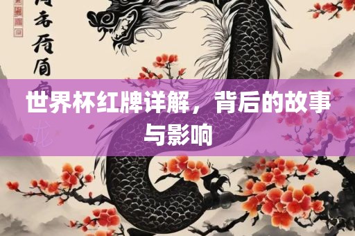 世界杯红牌详解，背后的故事与影响