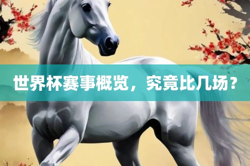 世界杯赛事概览，究竟比几场？漯河市盈旭机械设备有限公司