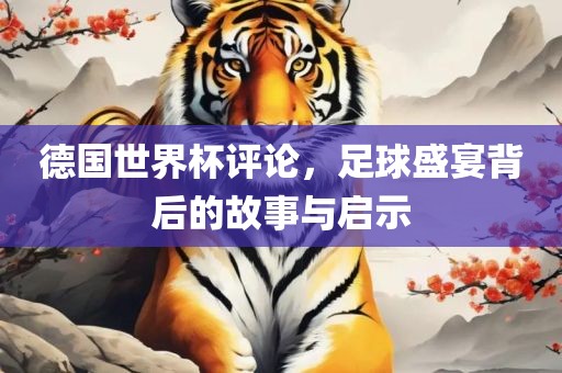 德国世界杯评论，足球盛宴背后的故事与启示漯河市盈旭机械设备有限公司