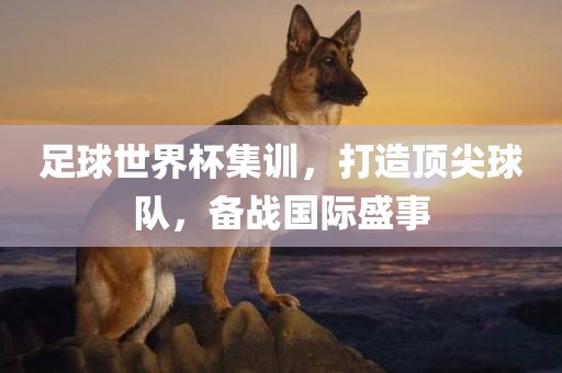 足球世界杯集训，打造顶尖球队，备战国际盛事