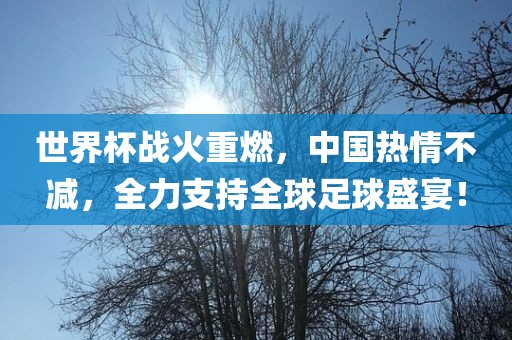 世界杯战火重燃，中国热情不减，全力支持全球足球盛宴！