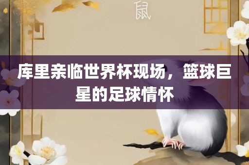 库里亲临世界杯现场，篮球巨星的足球情怀漯河市盈旭机械设备有限公司