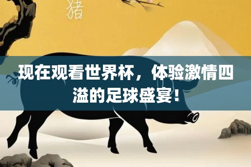 现在观看世界杯，体验激情四溢的足球盛宴！漯河市盈旭机械设备有限公司