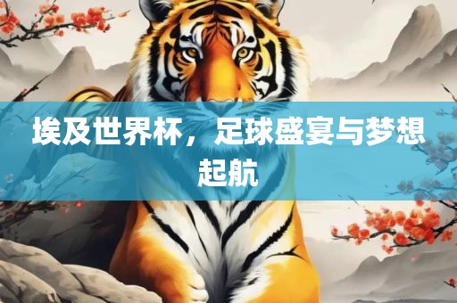 埃及世界杯，足球盛宴与梦想起航漯河市盈旭机械设备有限公司