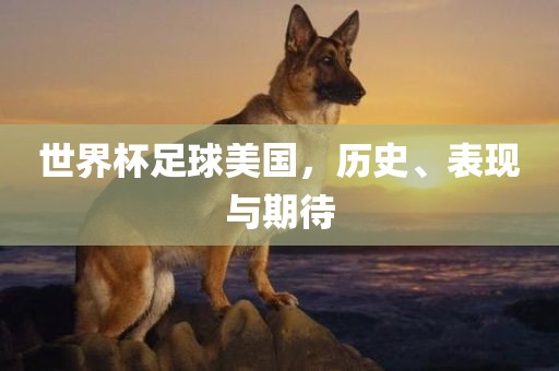 世界杯足球美国，历史、表现与期待