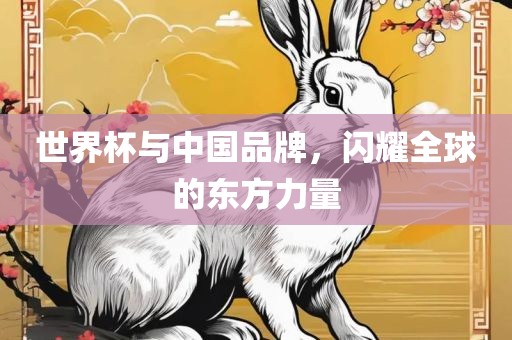 世界杯与中国品牌，闪耀全球的东方力量