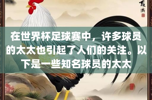 在世界杯足球赛中，许多球员的太太也引起了人们的关注。以下是一些知名球员的太太漯河市盈旭机械设备有限公司