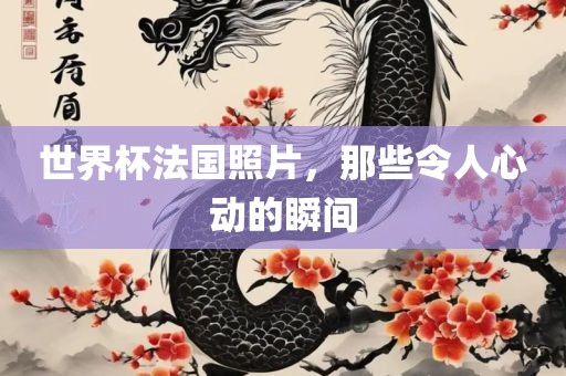 世界杯法国照片，那些令人心动的瞬间