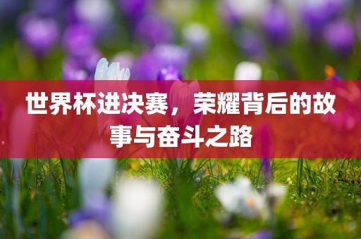世界杯进决赛，荣耀背后的故事与奋斗之路漯河市盈旭机械设备有限公司