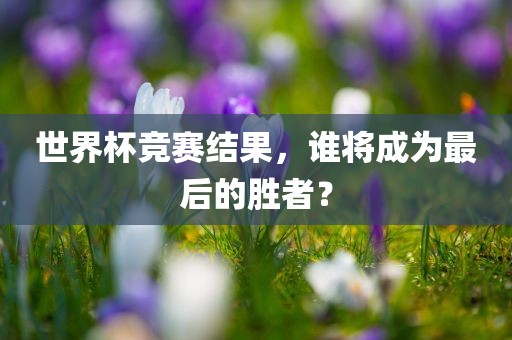 世界杯竞赛结果，谁将成为最后的胜者？
