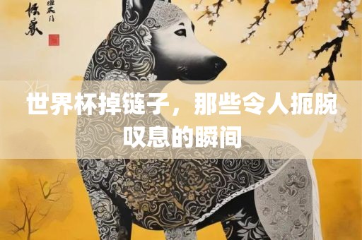 世界杯掉链子，那些令人扼腕叹息的瞬间漯河市盈旭机械设备有限公司