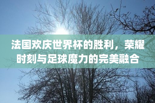 法国欢庆世界杯的胜利，荣耀时刻与足球魔力的完美融合