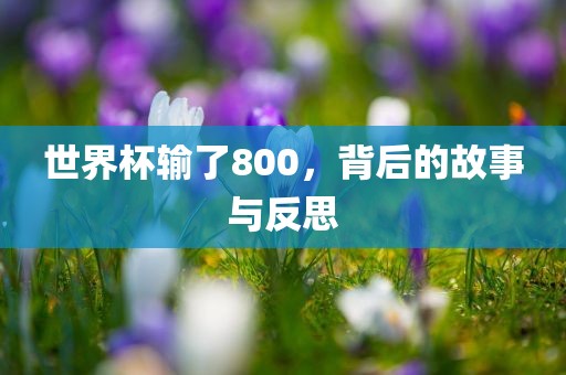 世界杯输了800，背后的故事与反思
