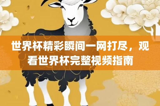 世界杯精彩瞬间一网打尽，观看世界杯完整视频指南