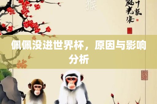 佩佩没进世界杯，原因与影响分析漯河市盈旭机械设备有限公司