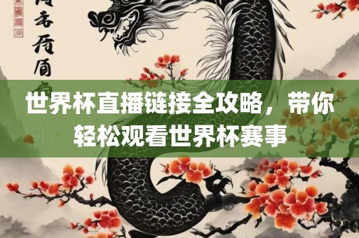 世界杯直播链接全攻略，带你轻松观看世界杯赛漯河市盈旭机械设备有限公司事