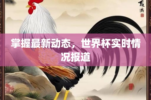掌握最新动态，世界杯实时情况报道漯河市盈旭机械设备有限公司