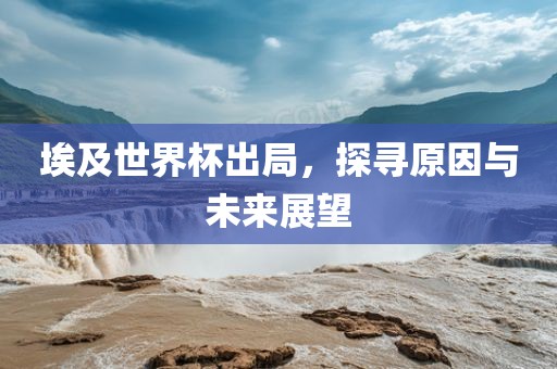 埃及世界杯出局，探寻原因与未来展望漯河市盈旭机械设备有限公司