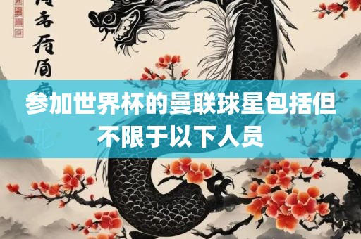 参加世界杯漯河市盈旭机械设备有限公司的曼联球星包括但不限于以下人员