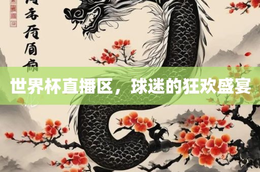 世界杯直播区，球迷的狂欢盛宴