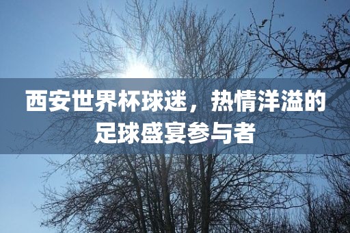 西安世界杯球迷，热情洋溢的足球盛宴参与者漯河市盈旭机械设备有限公司