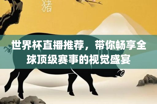 世界杯直播推荐，带你畅享全球顶级赛事的视觉盛宴漯河市盈旭机械设备有限公司