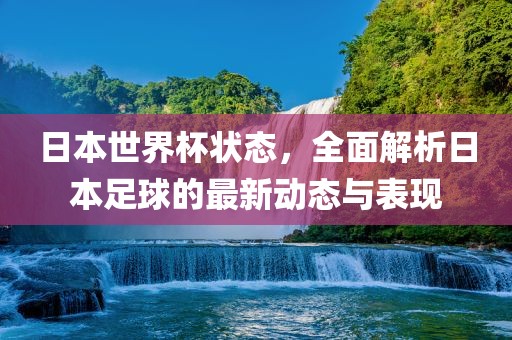 日本世界杯状态，全面解析日本足球的最新动态与表现