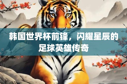 韩国世界杯前锋，闪耀星辰的足球英雄传奇漯河市盈旭机械设备有限公司