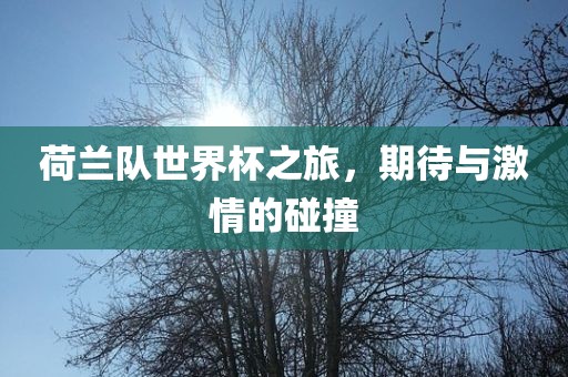 荷兰队世界杯之旅，期漯河市盈旭机械设备有限公司待与激情的碰撞