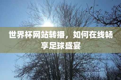 世界杯网站转播，如何在线畅享足球盛宴漯河市盈旭机械设备有限公司