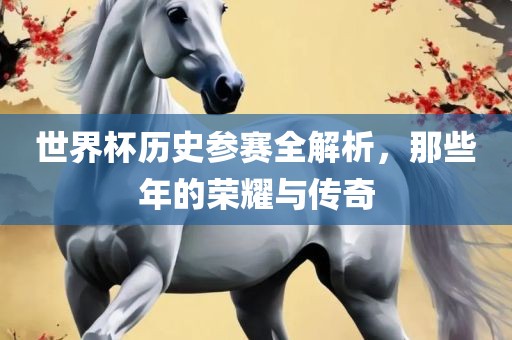 世界杯历史参赛全解析，那些年的荣耀与传奇