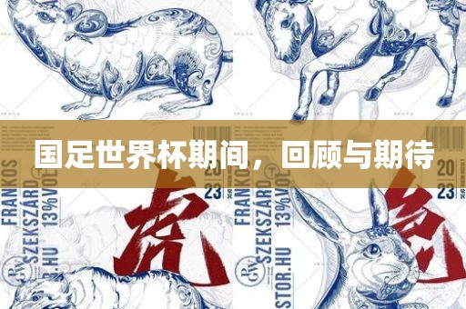 国足世界杯期间，回顾与期待