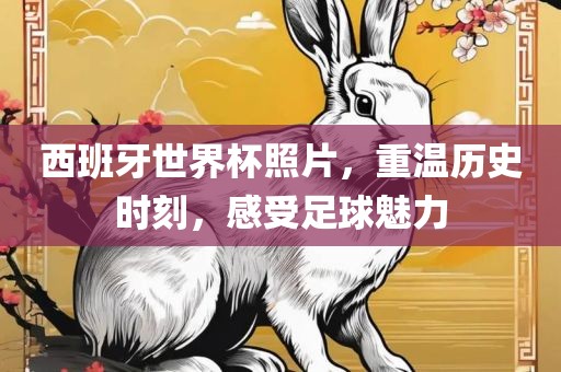 西班牙世界杯漯河市盈旭机械设备有限公司照片，重温历史时刻，感受足球魅力